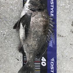 題名連日年無し❗️(イチノ兄弟)