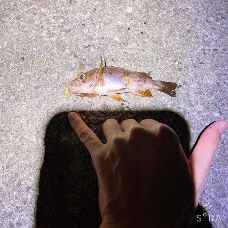 満潮の潮が緩やかになった時