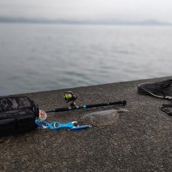 二投目で思わぬ伏兵が…