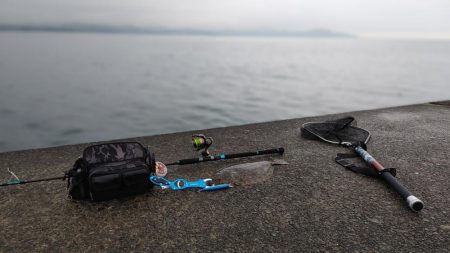 二投目で思わぬ伏兵が…