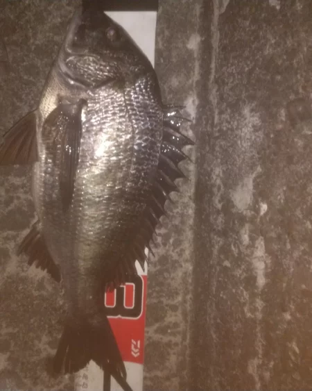 夜行練習してきました