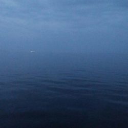 メバル3匹!キジハタ1匹!