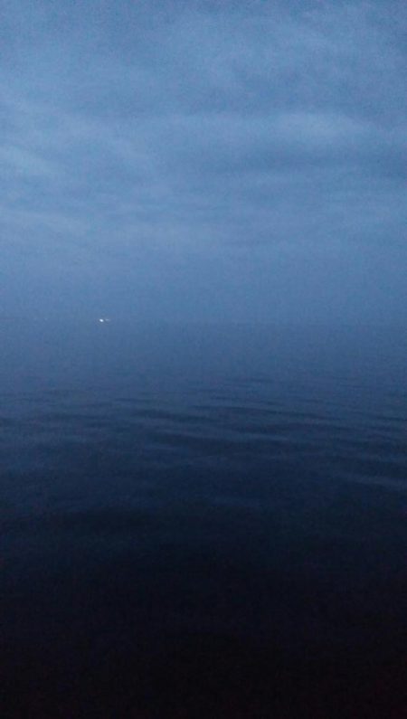 メバル3匹!キジハタ1匹!