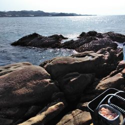 フカセ‥最高ですネ・・