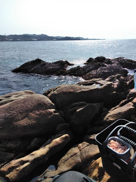 フカセ‥最高ですネ・・