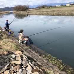 大同川モロコ４０匹コアユ１３匹