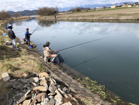 大同川モロコ４０匹コアユ１３匹