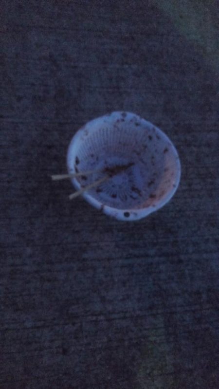 晩酌用のアジ狙い！！　渋い。。。。涙