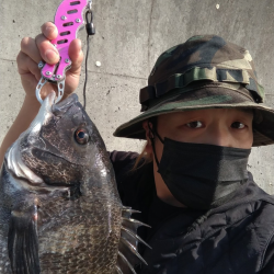 のっこみ?開幕?