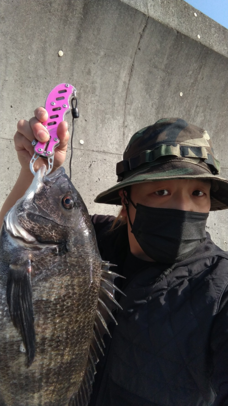 のっこみ?開幕?