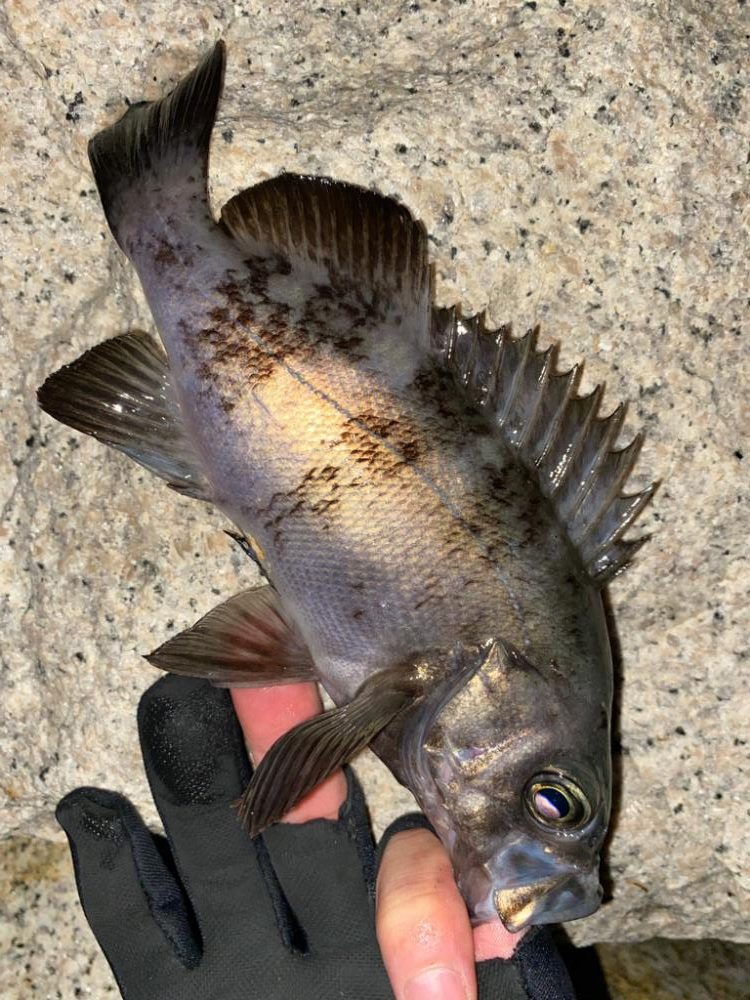 フロートメバリング