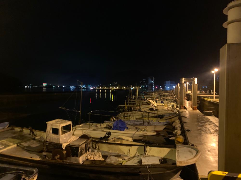 メバル26 +タケノコメバル1