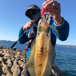 沖磯のジグパラダメージ鱗と餌木蔵ベイトフェザー