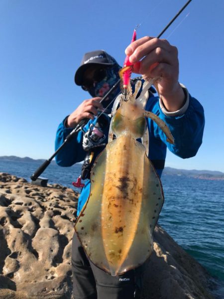 沖磯のジグパラダメージ鱗と餌木蔵ベイトフェザー