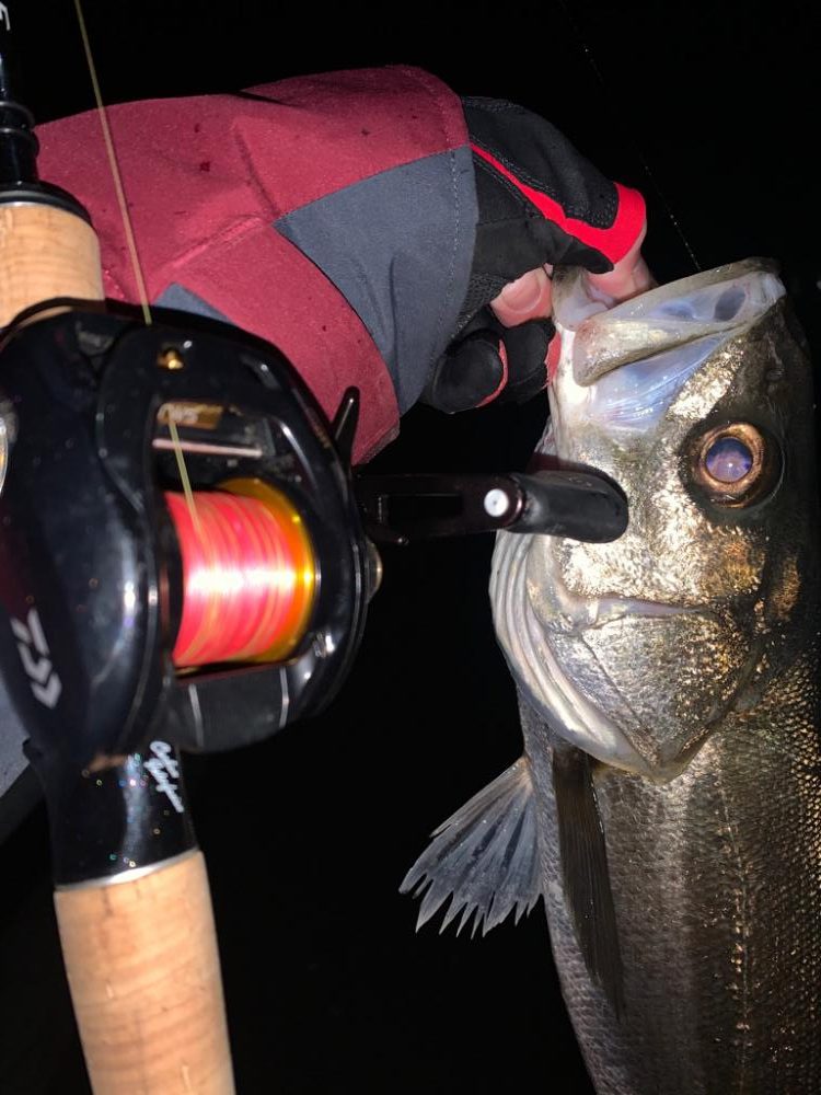 満足すぎたナイト釣行…
