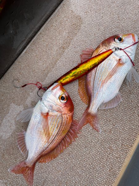 丹後沖にてジギング