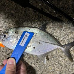 ちびジャックアイたちでライトゲーム