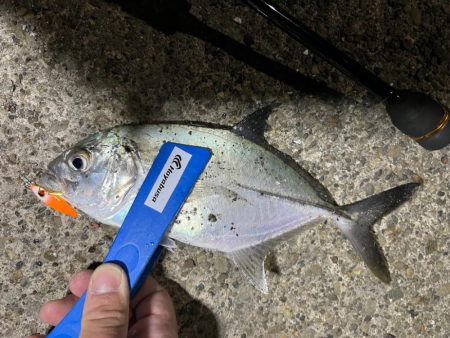 ちびジャックアイたちでライトゲーム