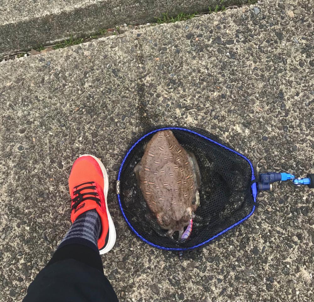 ムラムラさせて初のキロGET‼︎