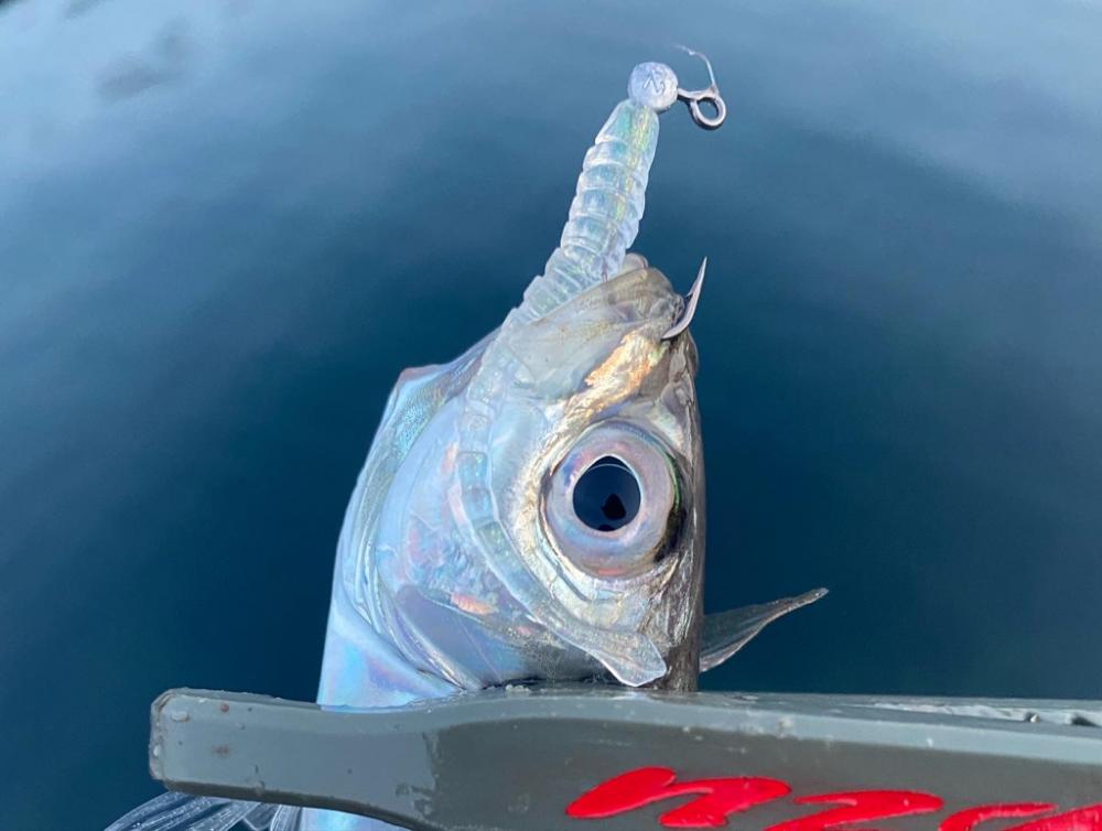 久しぶりの朝活