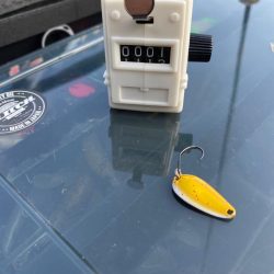 服部緑地　エリアトラウト