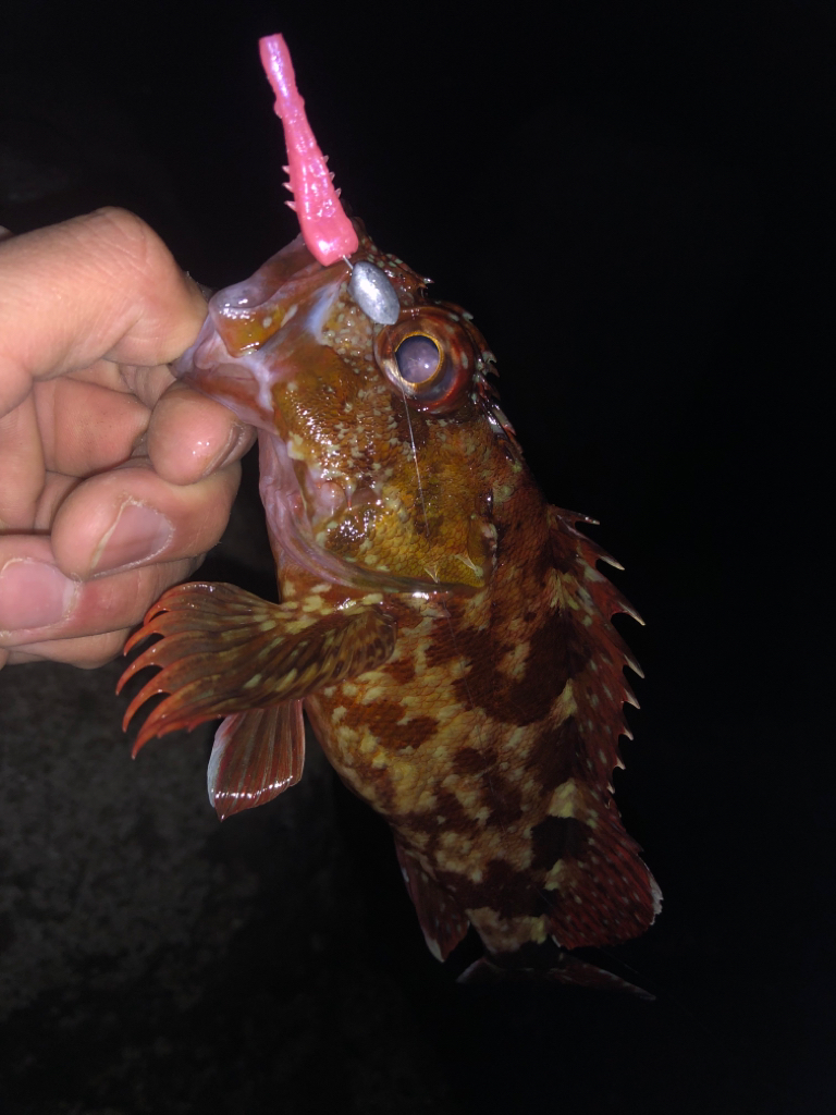 ボトムワイルドゲームpart2