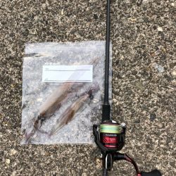 【越前】ポイント探し