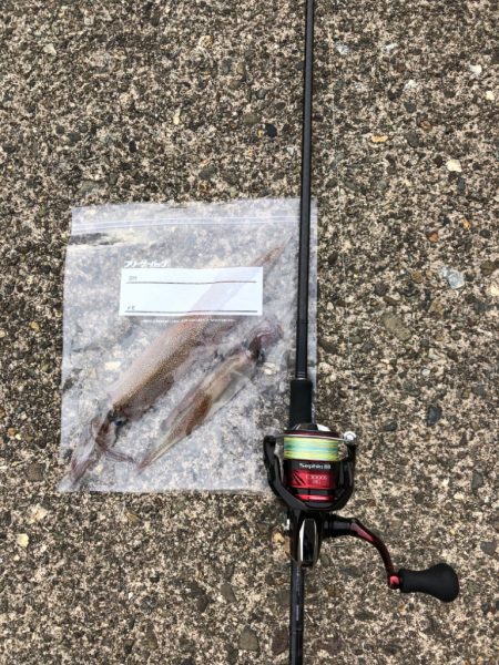 【越前】ポイント探し