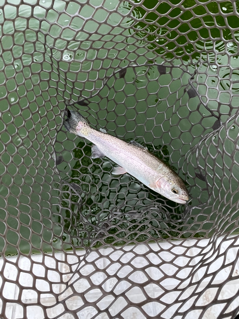 服部フィッシングパーク