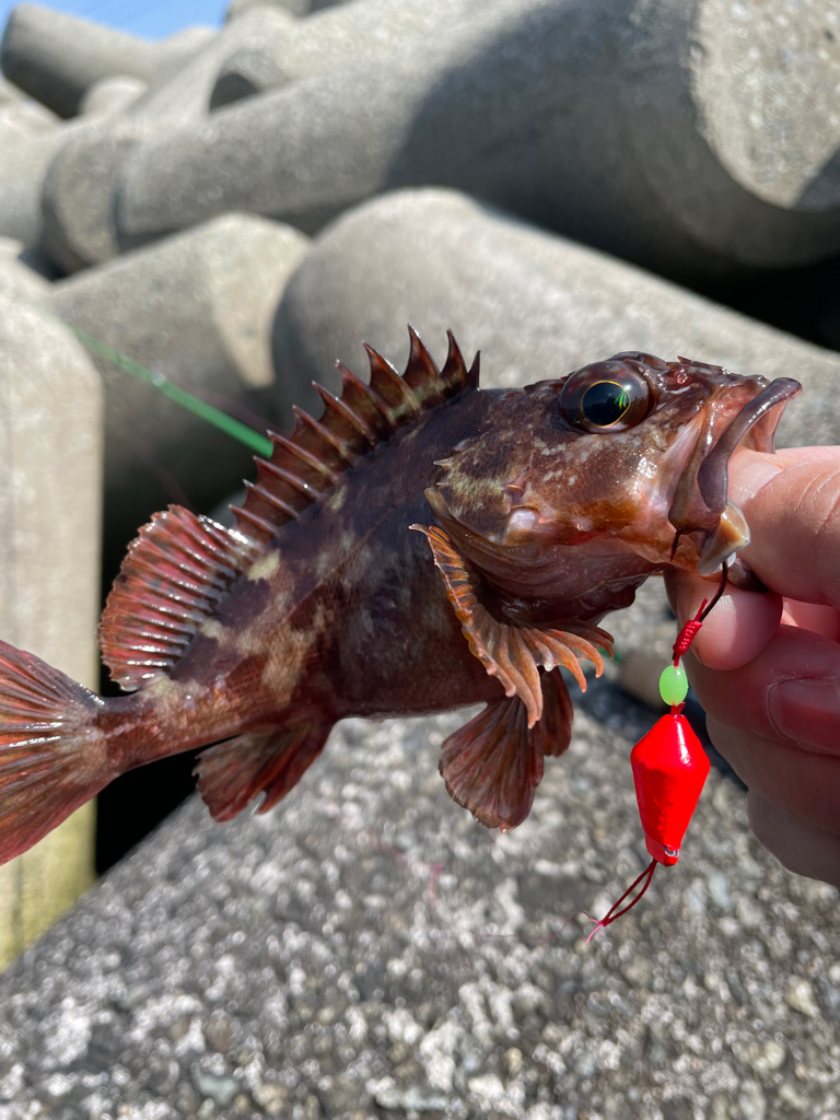 厳しい穴釣り#12