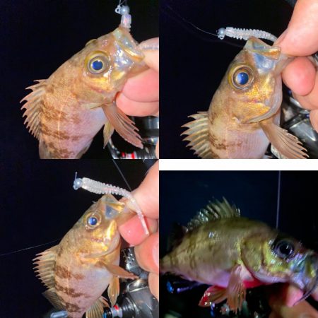 激浅の場所でメバリング