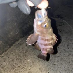 フロートメバリング