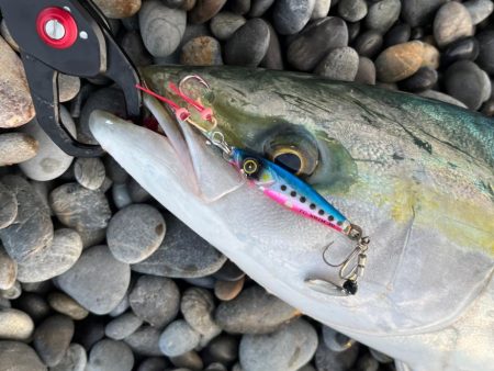 ジャックアイTGスイムをメジロが丸のみ