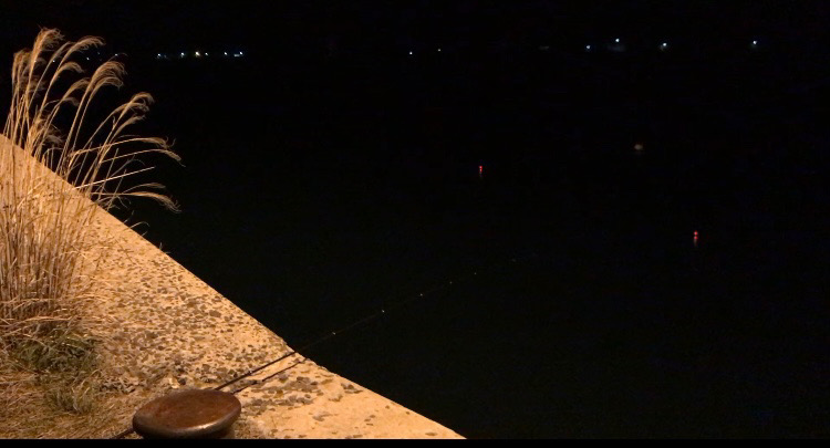 激渋ヤリイカ釣り