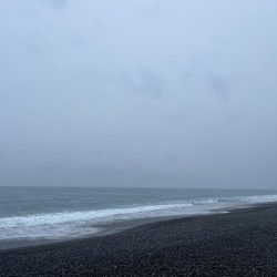 ジャックアイTGスイムのただ巻き強し！