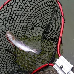 なんだかんだフィッシャーリゾート庄原