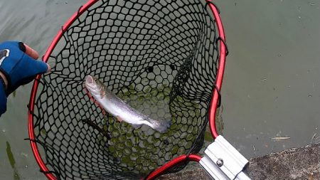 なんだかんだフィッシャーリゾート庄原