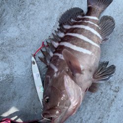 徳島沖ジギング