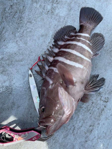 徳島沖ジギング