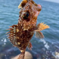 厳しい穴釣り#8