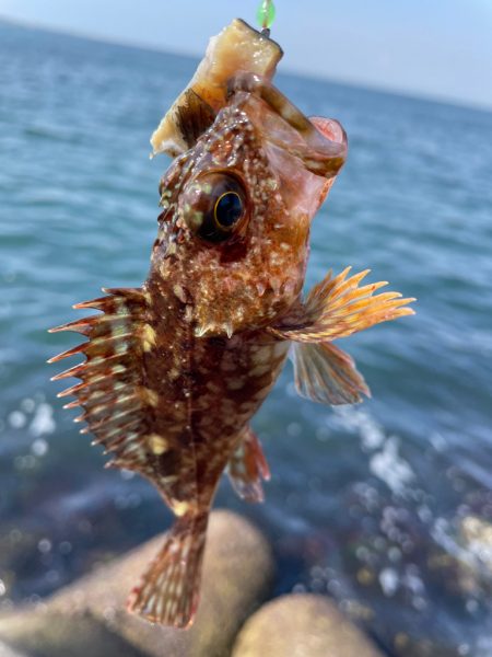 厳しい穴釣り#8