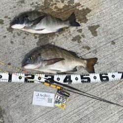 ★尼エサエビ撒き釣りグランプリ3月③