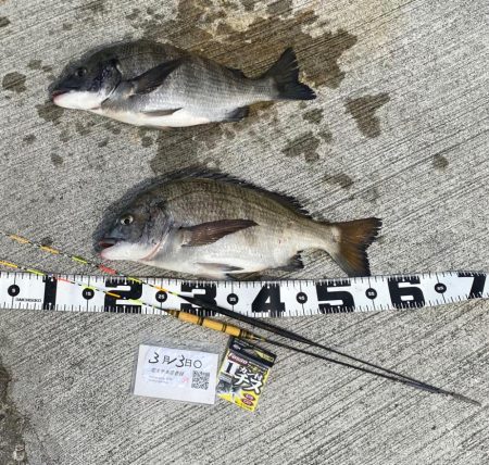 ★尼エサエビ撒き釣りグランプリ3月③