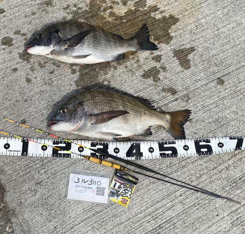 ★尼エサエビ撒き釣りグランプリ3月③