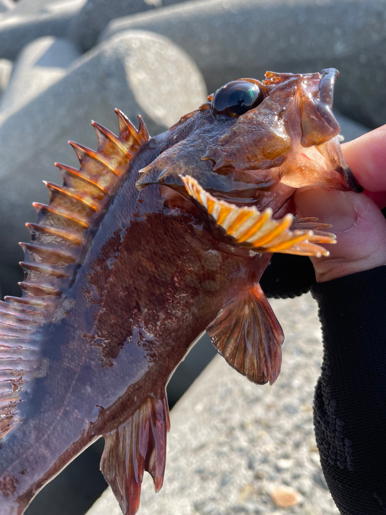 厳しい穴釣り#9