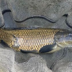 常盤釣り堀センター