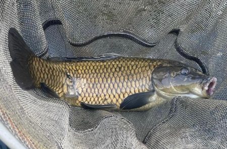 常盤釣り堀センター