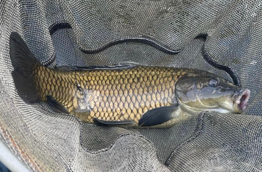 常盤釣り堀センター