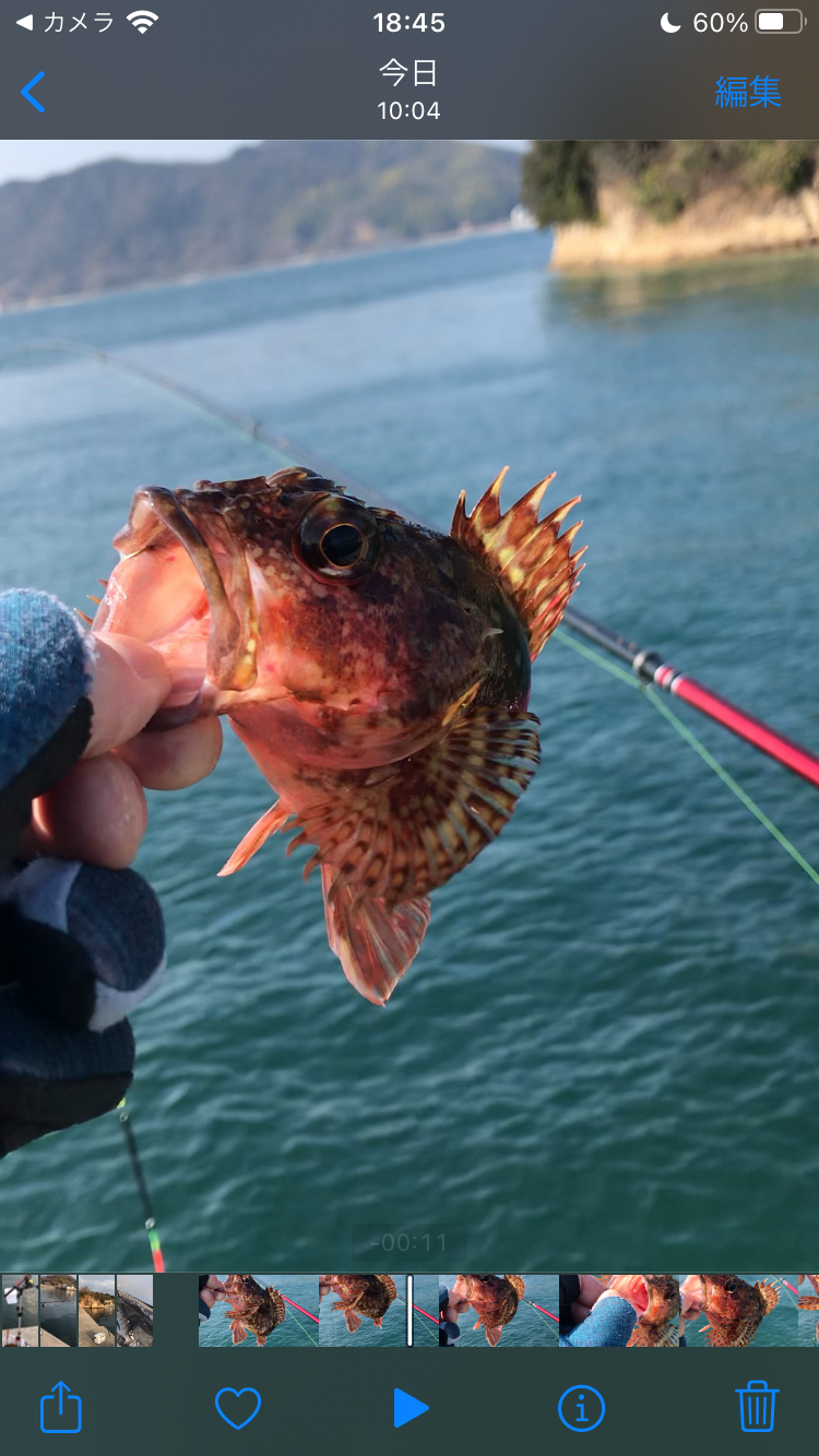 またまたフカセ釣り