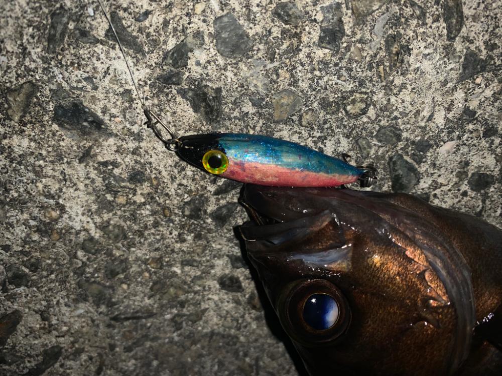 雨上がりはメバリング♪